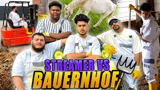 VIER STREAMER VS BAUERNHOF 🤣