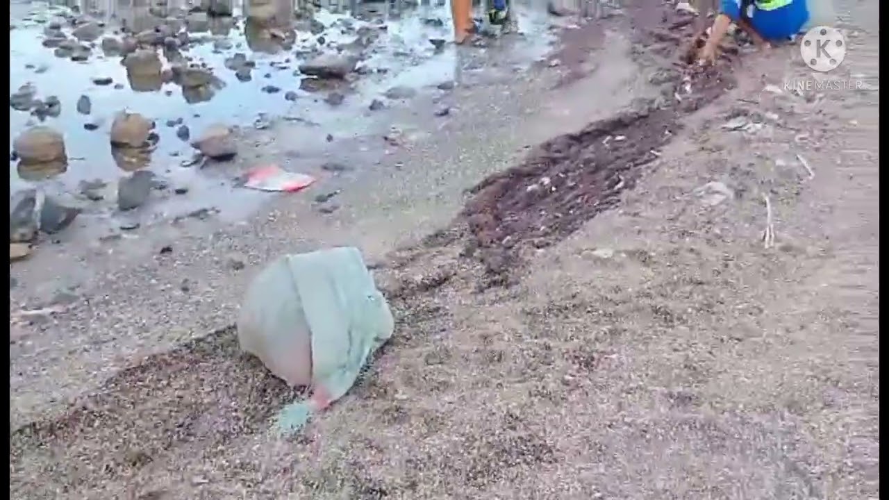 Update sa baseco beach jan 26 2022 time check-