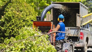 Amazing Powerful Wood Chipper Machines In Action, Incredible Fastest Tree Shredder Machines Working