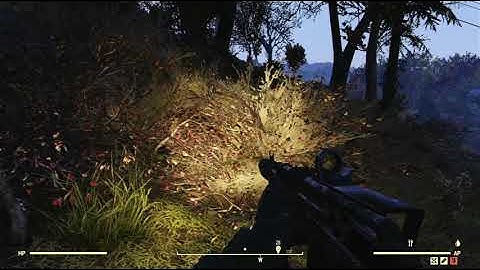 The Forest Region Scene Random Encounter Hotspot #07 - Fallout 76