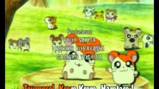 Bande annonce Hamtaro - P'tits hamsters, grandes aventures 