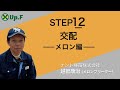 【Up.FTV メロン編 STEP12】交配
