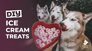 FROSTYPAWS PEANUTBUTTER ICECREAM FOR DOGS