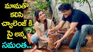 Samantha accepts challenge, planting with Nagarjuna while Akhil Shooting | #GreenindiaChallenge