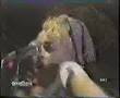 Madonna everybody live 1982 Roxy