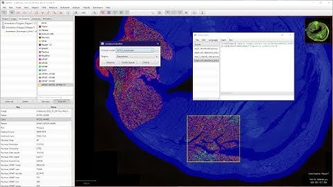 CIF Tutorials | QuPath : Using thresholders and light scripting
