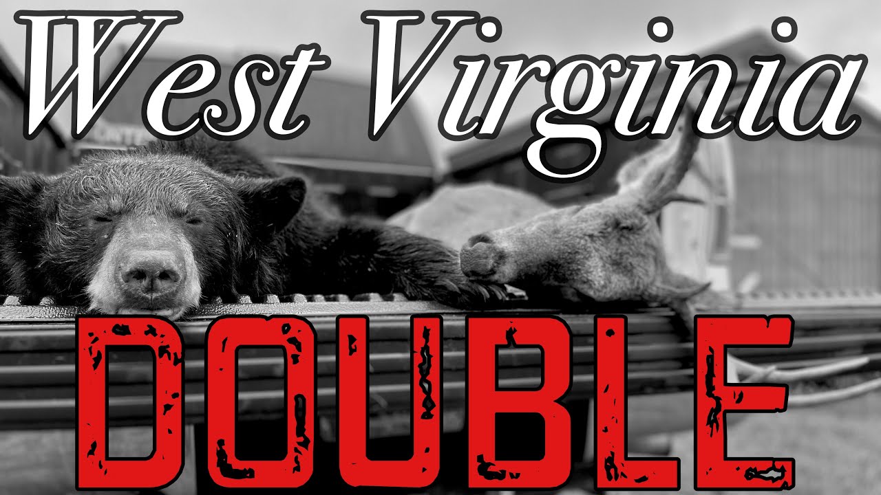 WV Bear and Buck Saddle Hunting Double! YouTube