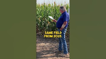 The best way to raise yields