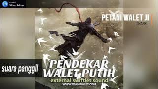 suara panggil PENDEKAR WALET PUTIH by. DIAN WALET