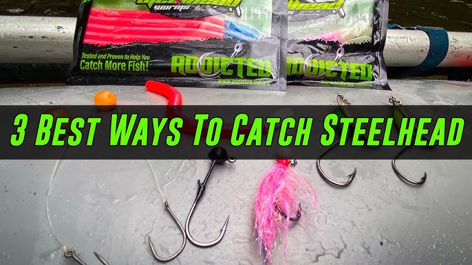 Fish with JD - The Diver & Worm rig: Before bobberdogging, jigs and  bobbers, beads and all the other steelhead stuff that's all the rage right  now, this rig helped me start