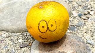 Naranja Escuchando La Historia De Un Elefante