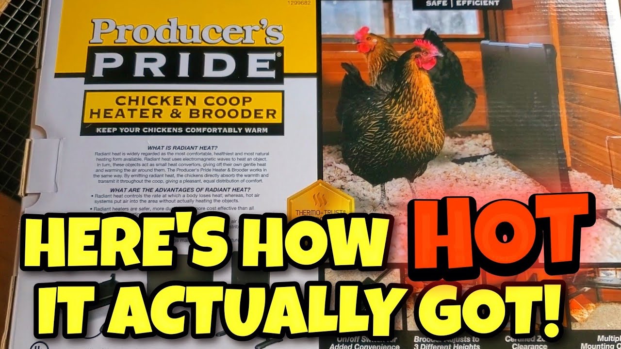 Unboxing, Test and Initial Impression: PRODUCERS PRIDE Chicken Coop Heater  and Brooder Plate 