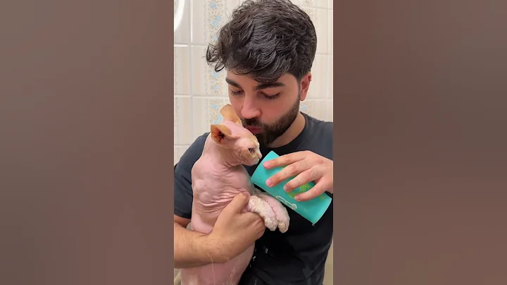 Video 9645521: hairless cat bath, cat first bath