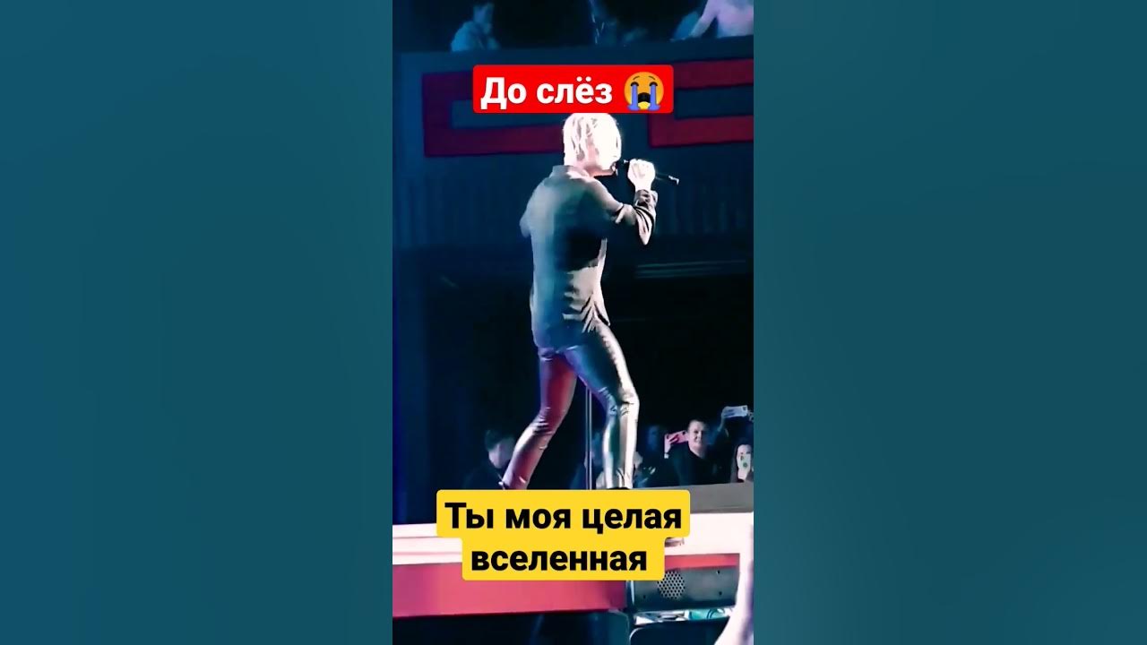 ты моя вселенная. слушать песню ты моя целая вселенная шамана. Shaman (певец). Shaman (певец). шаман певец 2022.