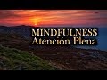 Mindfulness - La Atención Plena