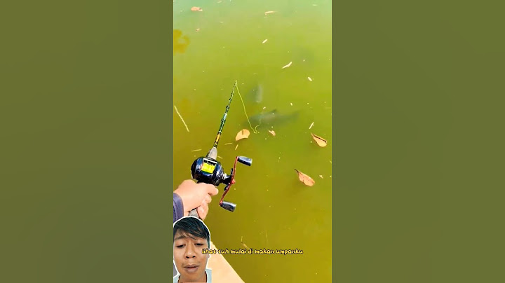 mancing ikan bawal monster depan mata nih bos ‼️ fishingvideo