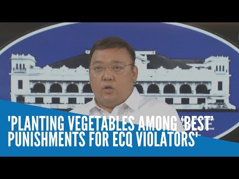 Planting vegetables among ‘best’ punishments for ECQ violators—Palace