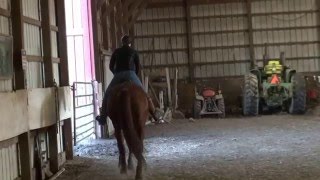 Valiente Clip #1 27 Feb 2016