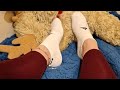الملكة زينة تذل كلبها الرخيص الجزء الثاني 