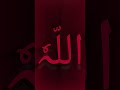 #islam #islamic #1million #allah