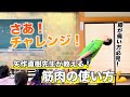 さあ！チャレンジ！膝が痛い方必見！矢作直樹先生が教える筋肉の使い方