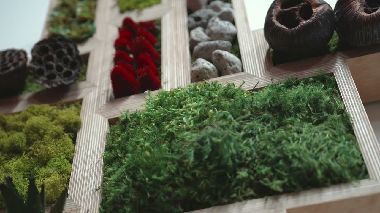 Providing Wellness In The Workplace | Plant Solutions