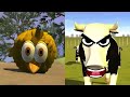 El Pollito pío 3d - el Toro y el Tractor de la Granja part#441 -el Pollito y el Tractor de la Granja