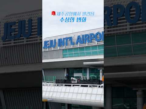 제주공항에 무슨 일이? AI 통역에 청소로봇, 유실물 해외배송까지✈️