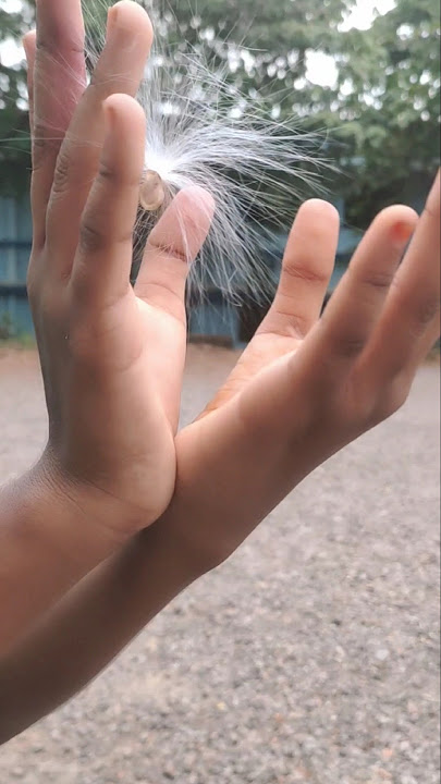 kattinmel ancharu appuppan thadikal#alli#teju#shorts