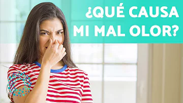 ¿A qué huele el olor corporal de la menopausia?