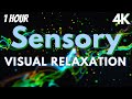 Autism Calming Sensory Visual Therapy Relaxation