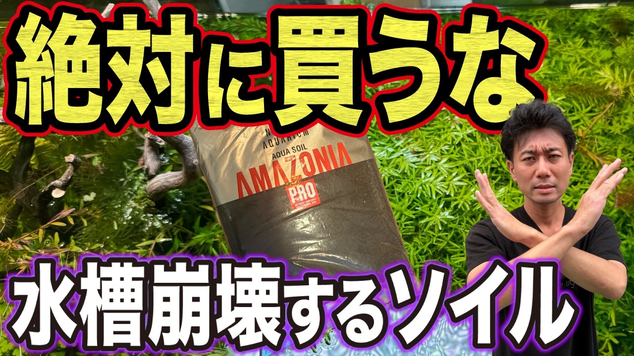 Flood of Inquiries] Don't Buy This New Aquarium Soil Without