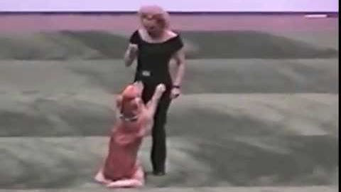 Dog and owner perform a cute Grease dance routine. [VIDEO]