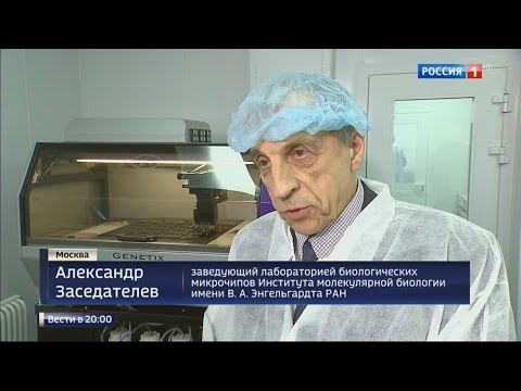 Молекулярный институт энгельгардта