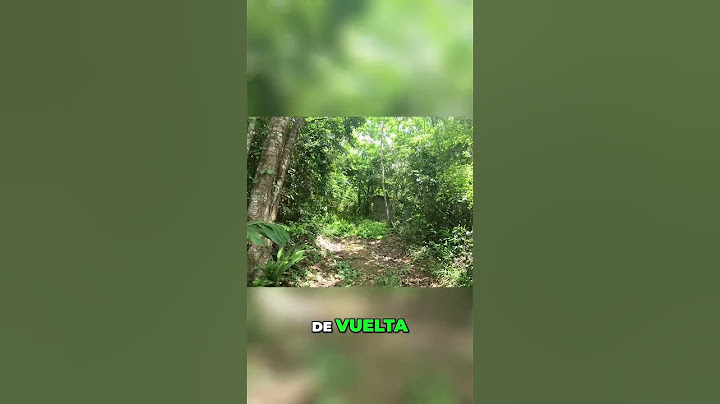 Mini Finca de Ñame: ¡Cosecha Sorpresa en la Montaña!