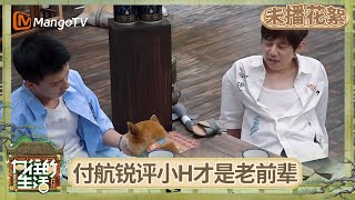 EP4未播花絮:黄磊何炅动情回忆初见小H情形 李诞爆笑认证小H才是蘑菇屋“屋主” | 《向往的生活-戏如人生》Back To Field | MangoTV