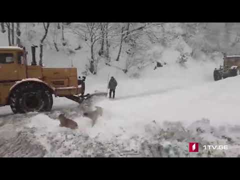 რიკოთის უღელტეხილზე სატვირთო ავტომანქანებისთვის მოძრაობა კვლავ შეზღუდულია
