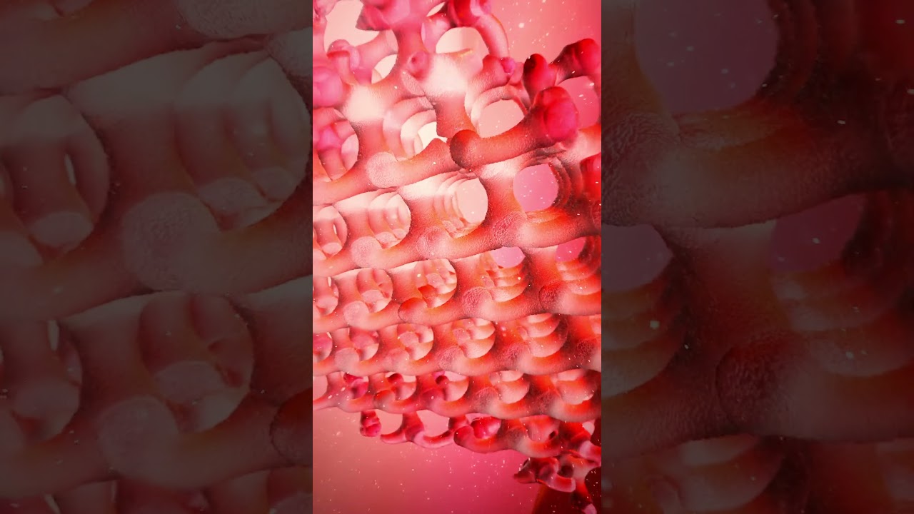 VITAL LIGHT Launch Video #3danimation