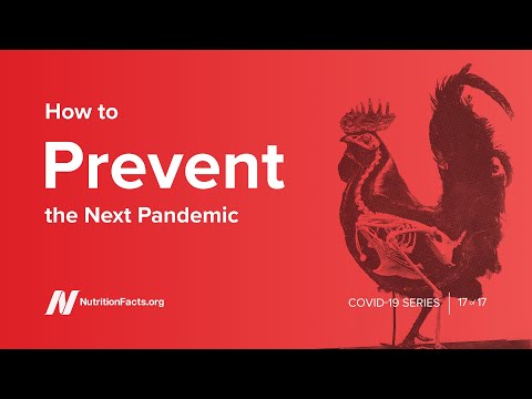 How to Prevent the Next Pandemic