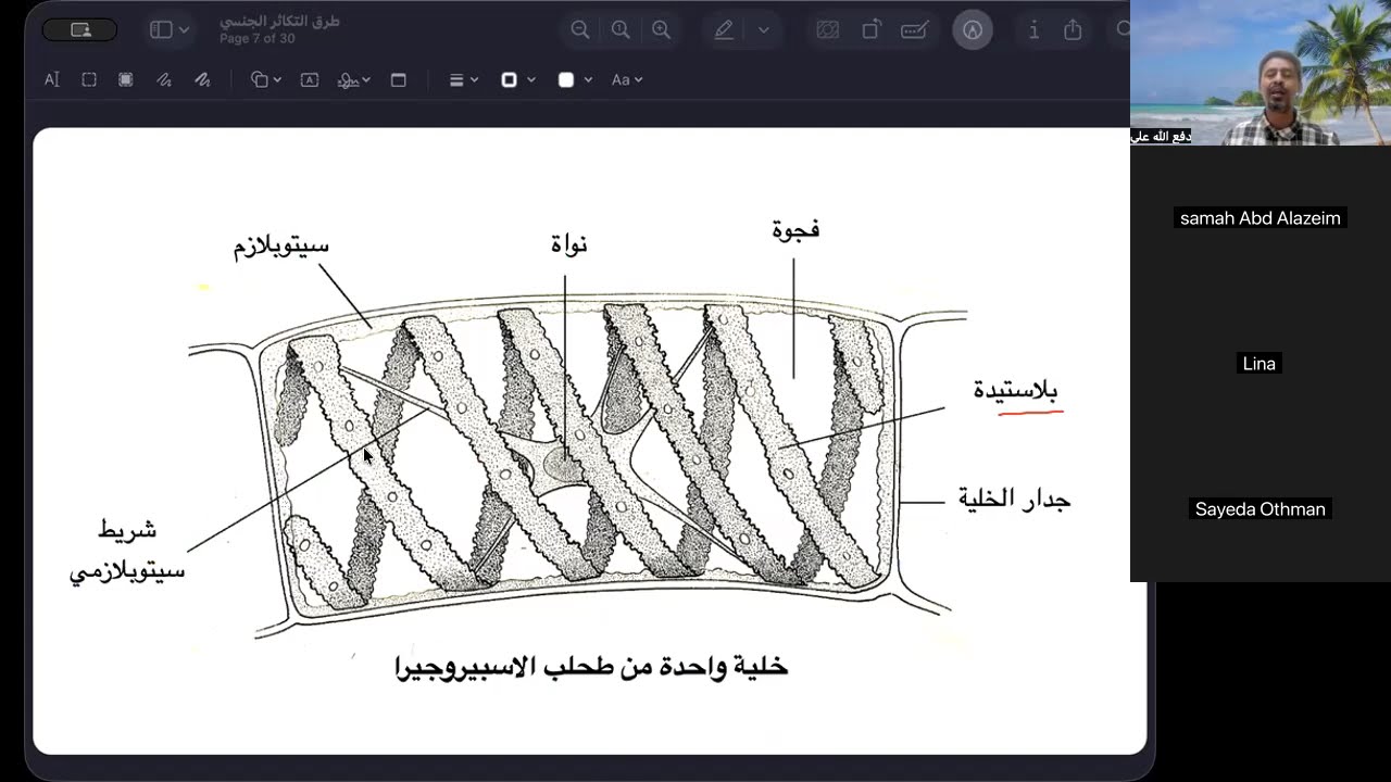 طرق التكاثر الجنسي | الاقتران | التكاثر بالأمشاج
