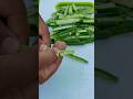 LADY FINGER CHIPS🤤 |Fried Lady Finger 😋RecipeCooking in Village | Okra Recipe