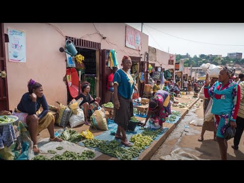 Video: Koinfekcia Maláriou A črevnými Parazitmi A Jej Súvislosť S Anémiou U Detí V Kamerune