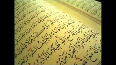 سورة الرحمن / عبد الله المطرود
