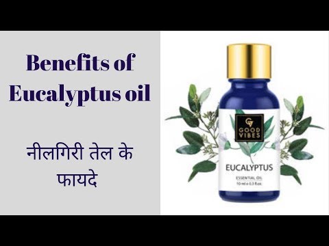 नीलगिरी तेल के अनोखे फायदे || Eucalyptus essential oil