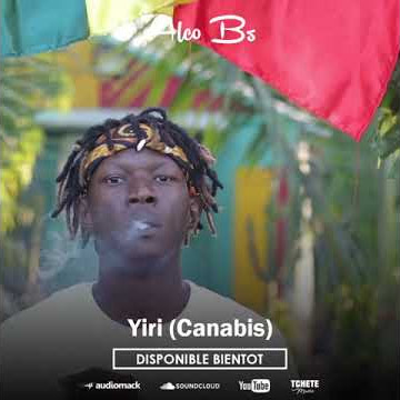 BS ALCO ANNONCE NOUVEAU CLIP YIRI Canabis