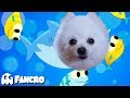 Baby shark  cover gabe the dog music