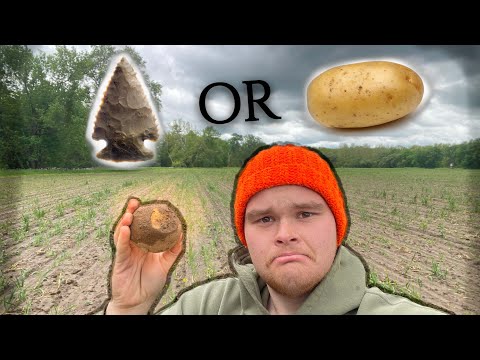 Potatofact Hunting?