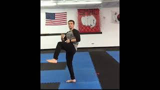 Reid's Tip 8- Backside 9