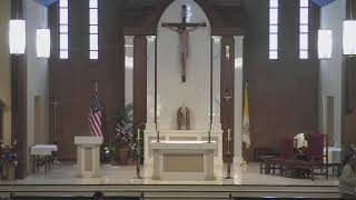 Fourteenth Sunday in Ordinary Time.