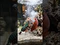 Savage Mantis Shrimp vs Fish 😱 The Last Shrimp Story (8K)”#FunnyAnimals #Meme #Relatable #SeaMeme